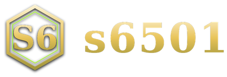 s6501 logo